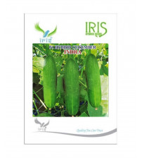 Cucumber / Kakri F1 Iris Indra 20 grams